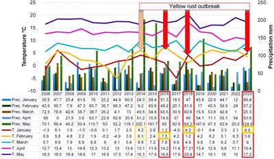 The challenge of managing yellow rust (Puccinia striiformis f.sp. tritici) in winter wheat: how combined climate and pathogen stressors impact variability in genotype reactions